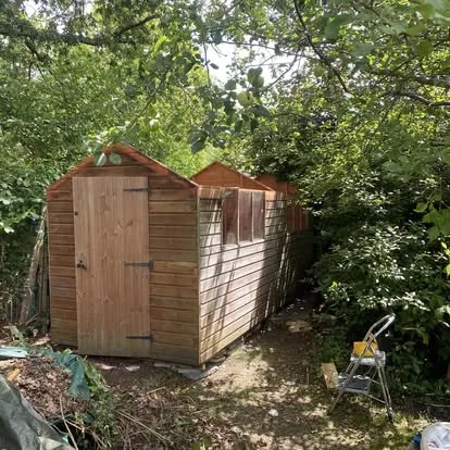 Timber shed side wall and door being rebuilt in a wooded garden